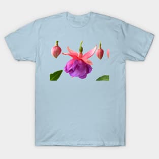 Fuchsia  &#39;Madeleine Sweeney&#39; T-Shirt